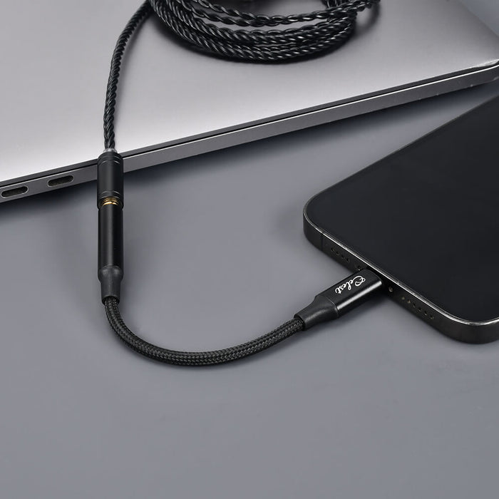 Apple Lightning to 3.5mm Headphone Jack Adapter